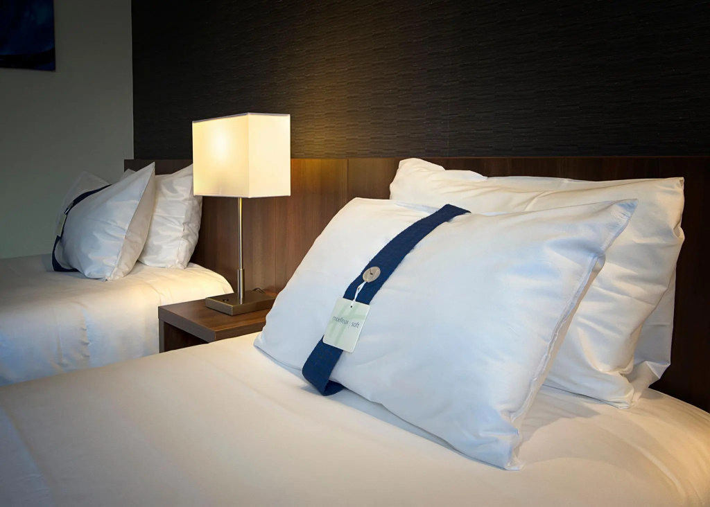 Holiday Inn Express Lille Centre by IHG - Chambres