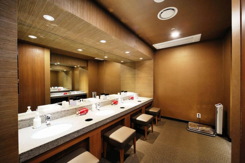 Dormy Inn Premium Seoul Garosugil - Général