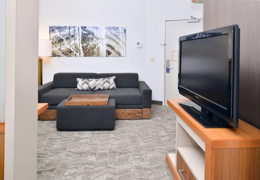 SpringHill Suites by Marriott Ashburn Dulles North - Général