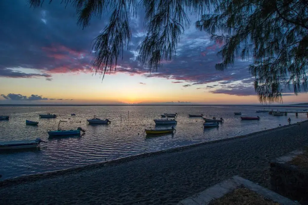 Beach & Waterfront