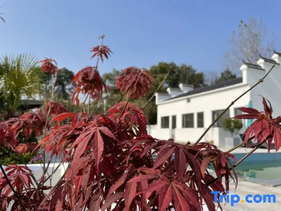 Yy House — 2