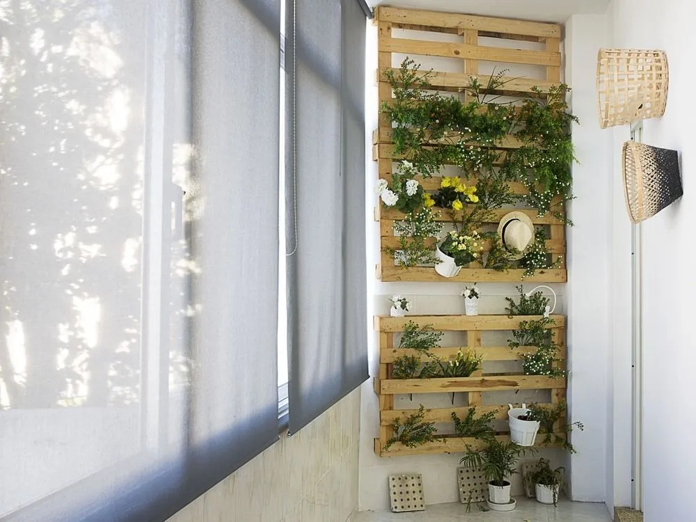 Charming Trindade Apartament