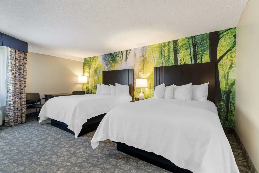 Black Bear Inn, an Ascend Collection Hotel - Général
