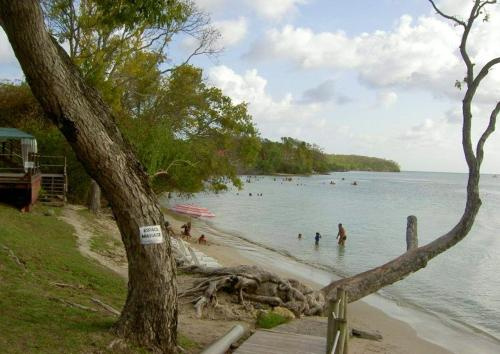 Beach & Waterfront