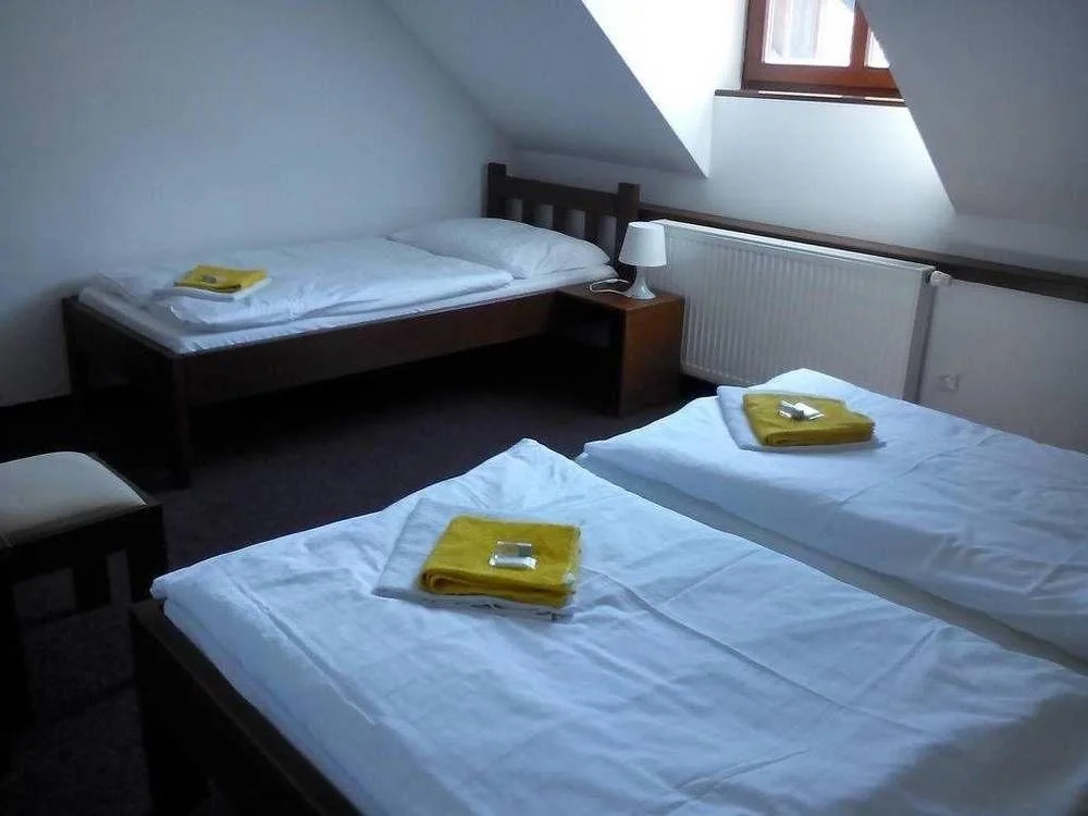 Libínské Sedlo Guesthouse - Général
