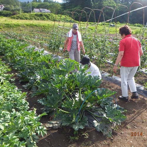 Image 12