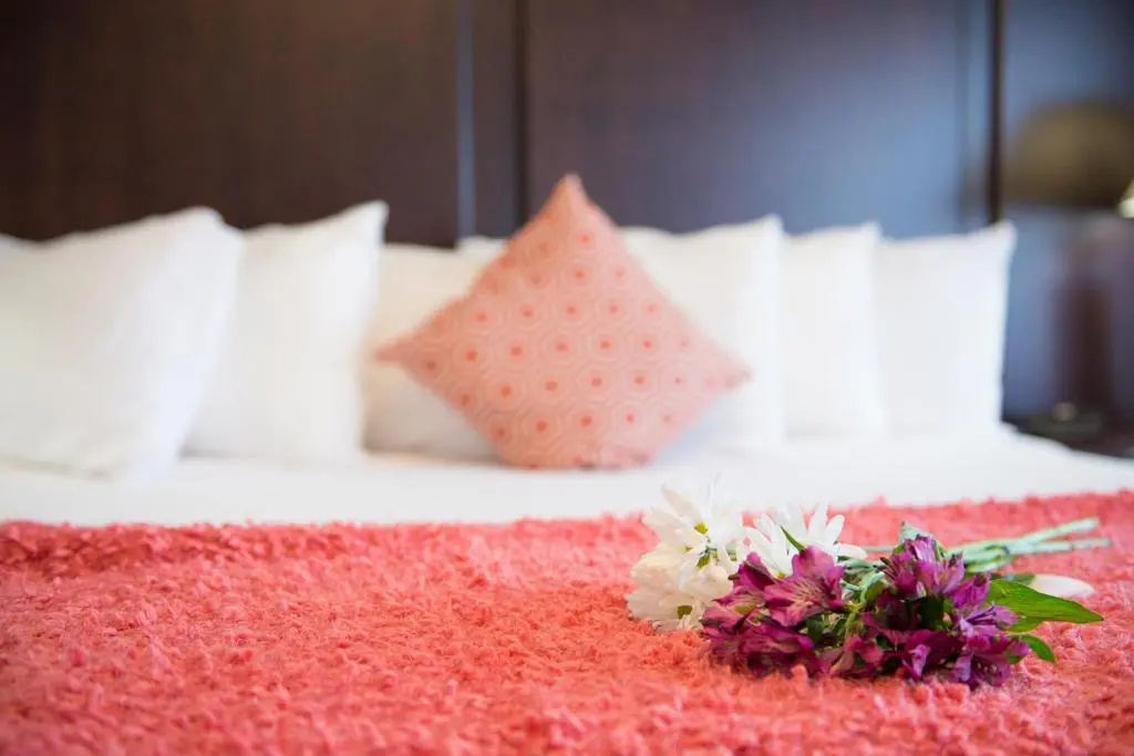Hotel Sheldon - Chambres