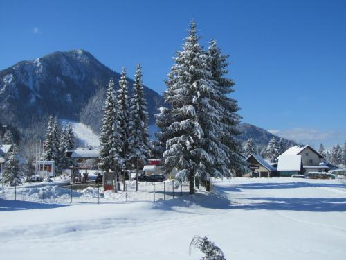 Apartments and Rooms Milena