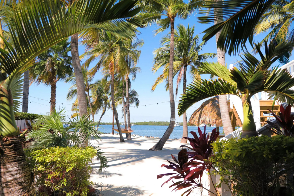 Coconut Palm Inn - Général