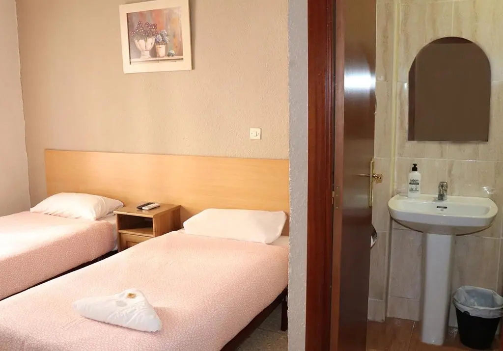 Standard Double room (twin beds)