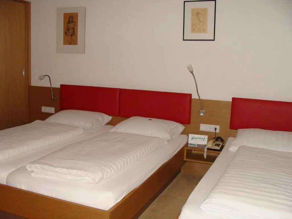 Hotel Bischof - Général
