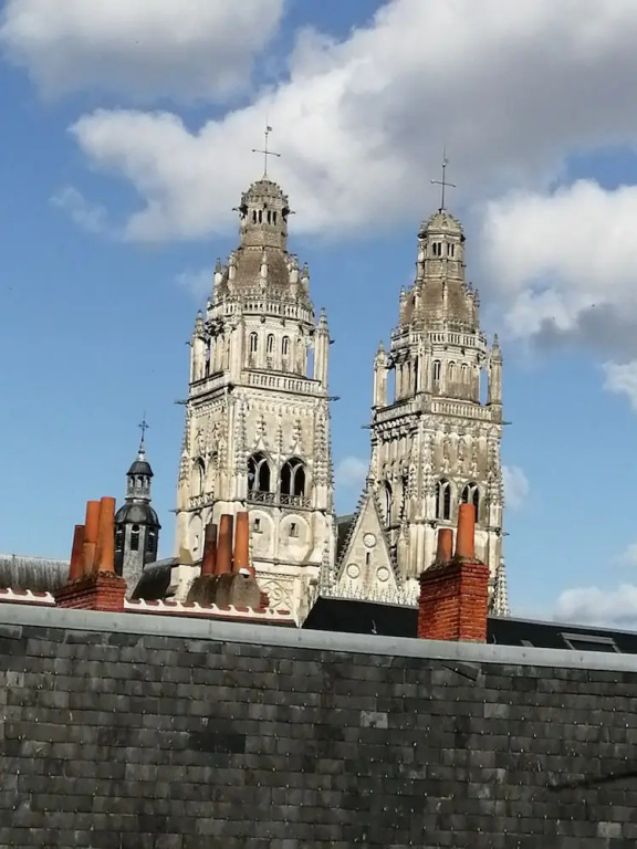 Hôtel du Cygne (Tours) - Chambres