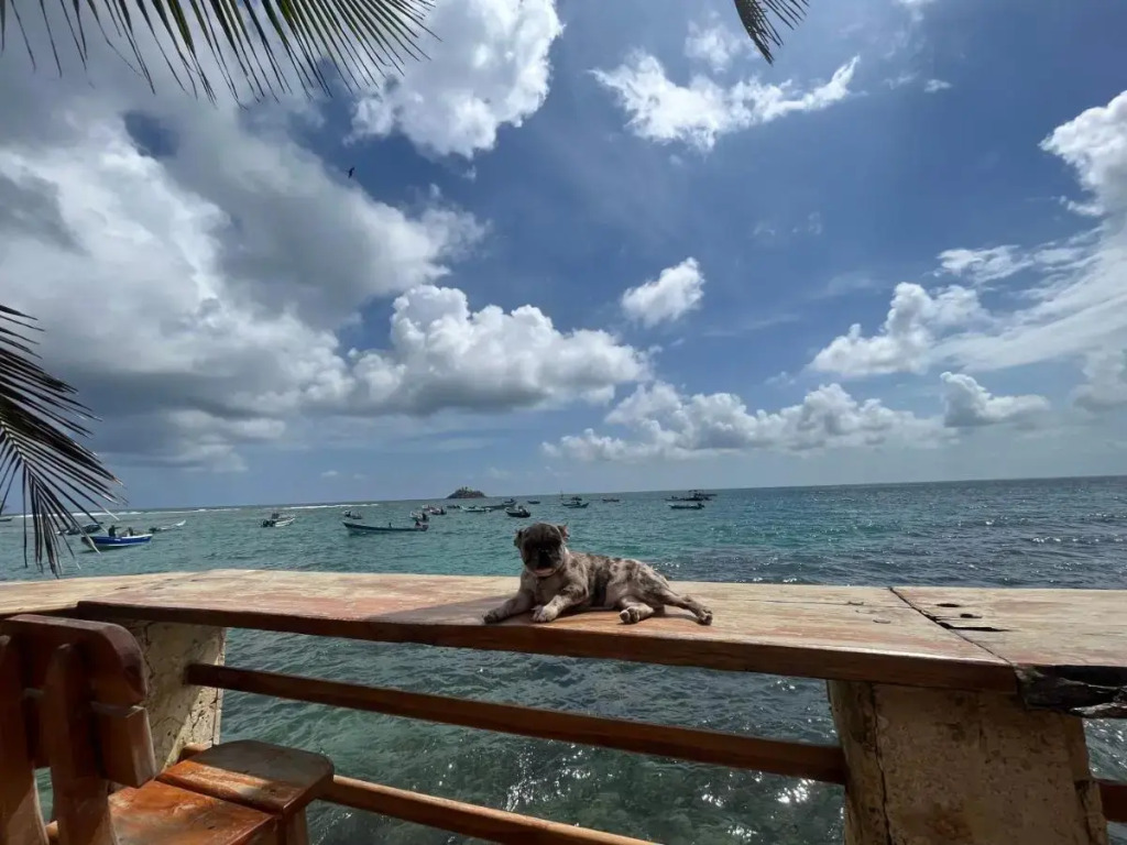 Hotel Katamaran — фото 5