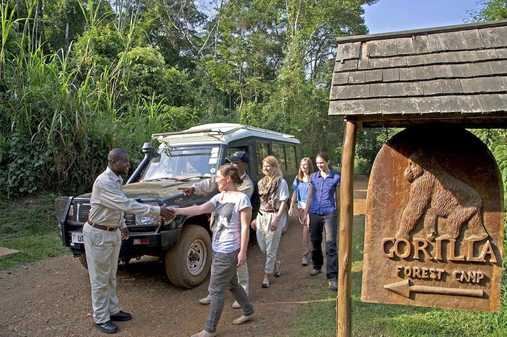 Sanctuary Gorilla Forest Camp - Général
