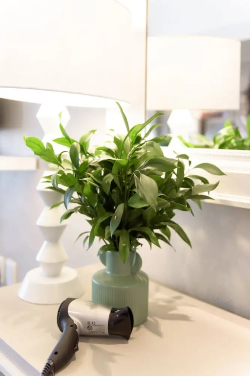 Whalesong Hotel & Spa - Chambres