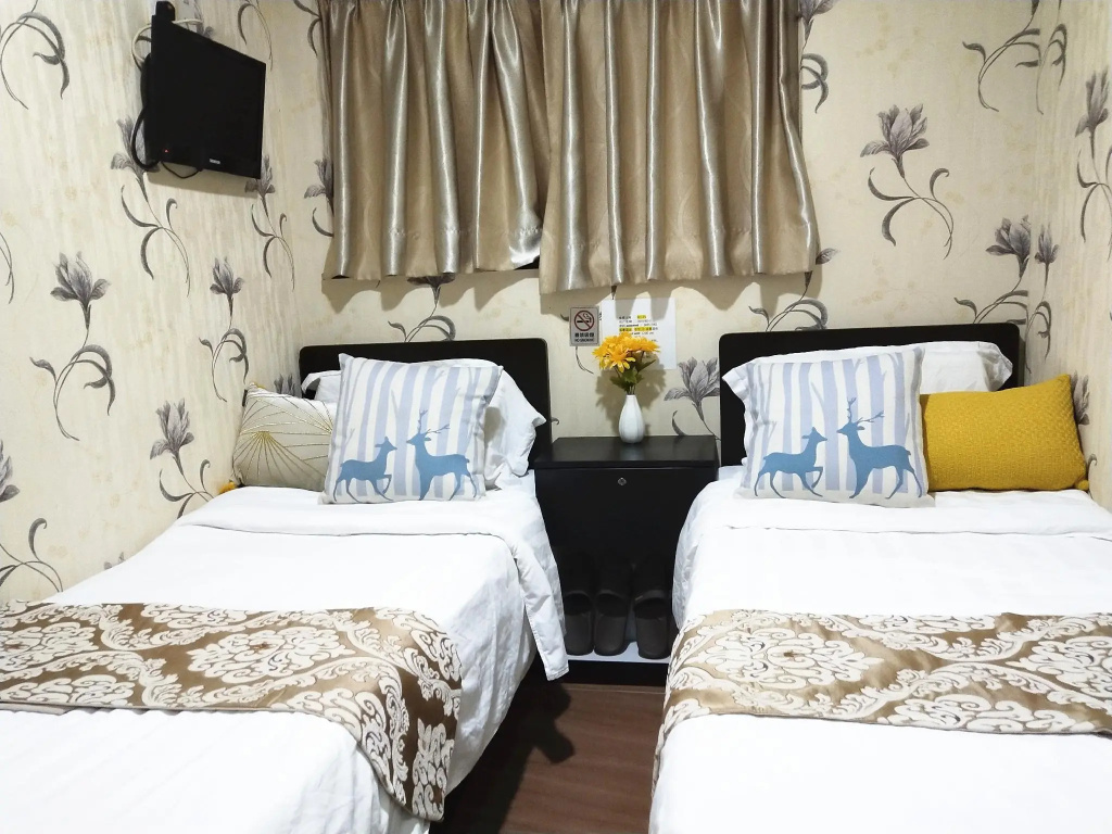 Standard Double room (twin beds)