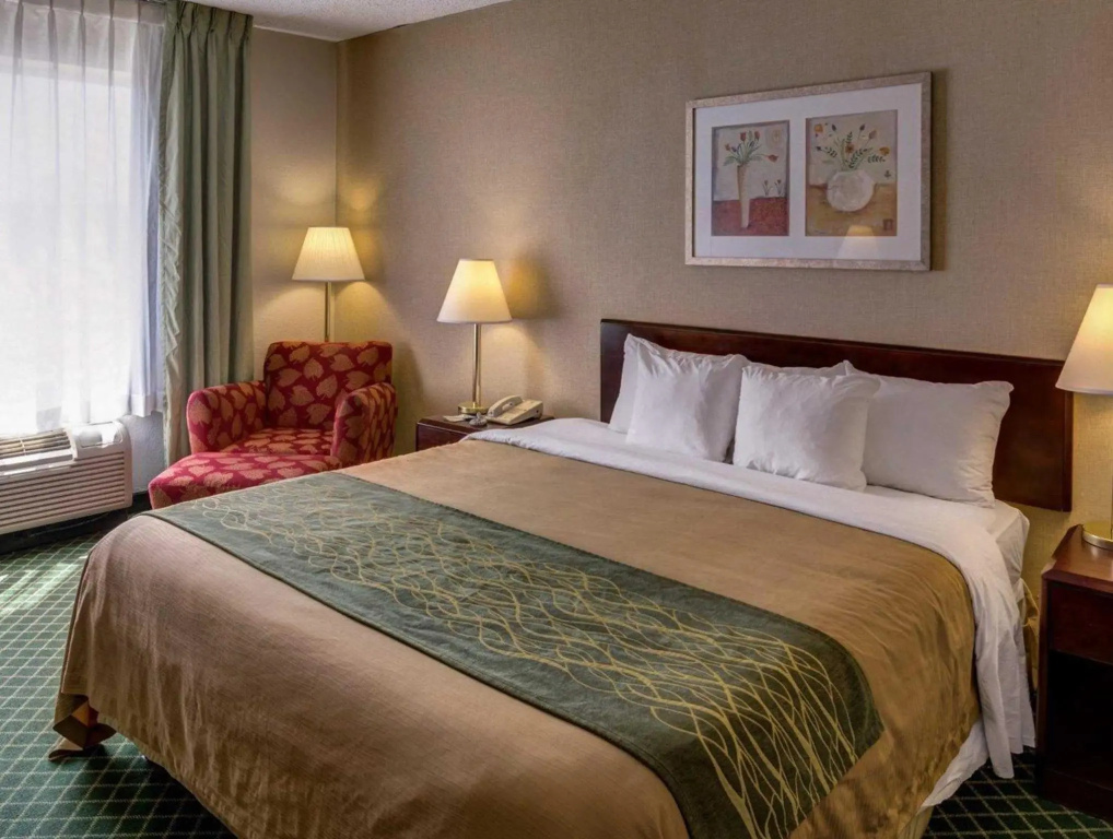 Comfort Inn College Park North - Chambres