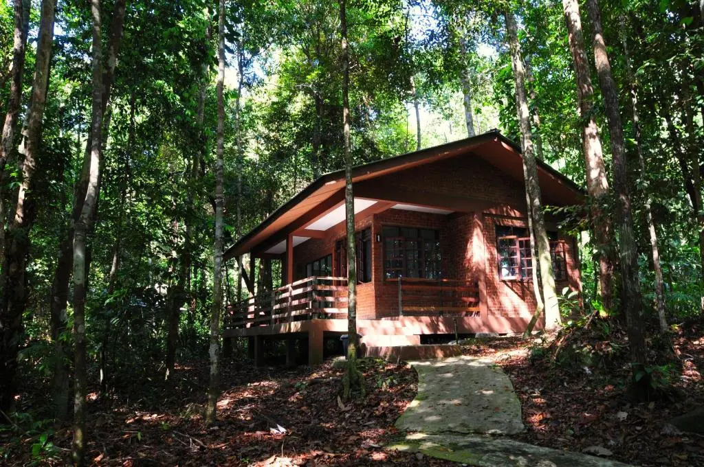 Permai Rainforest Resort
