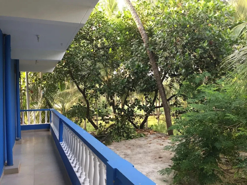 Balcony & Terrace