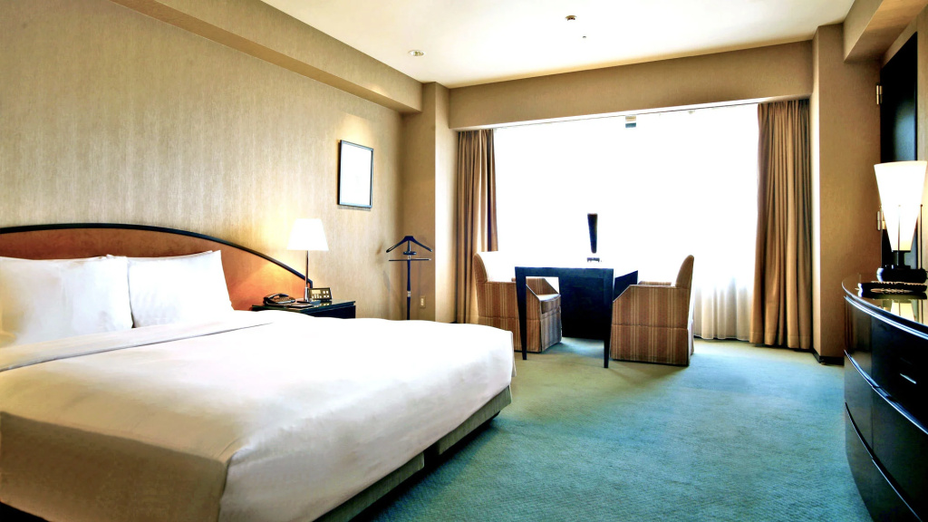 Deluxe Double room (full double bed)