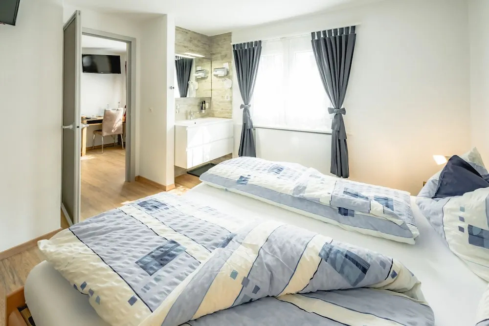 Hotel Alpina - Général