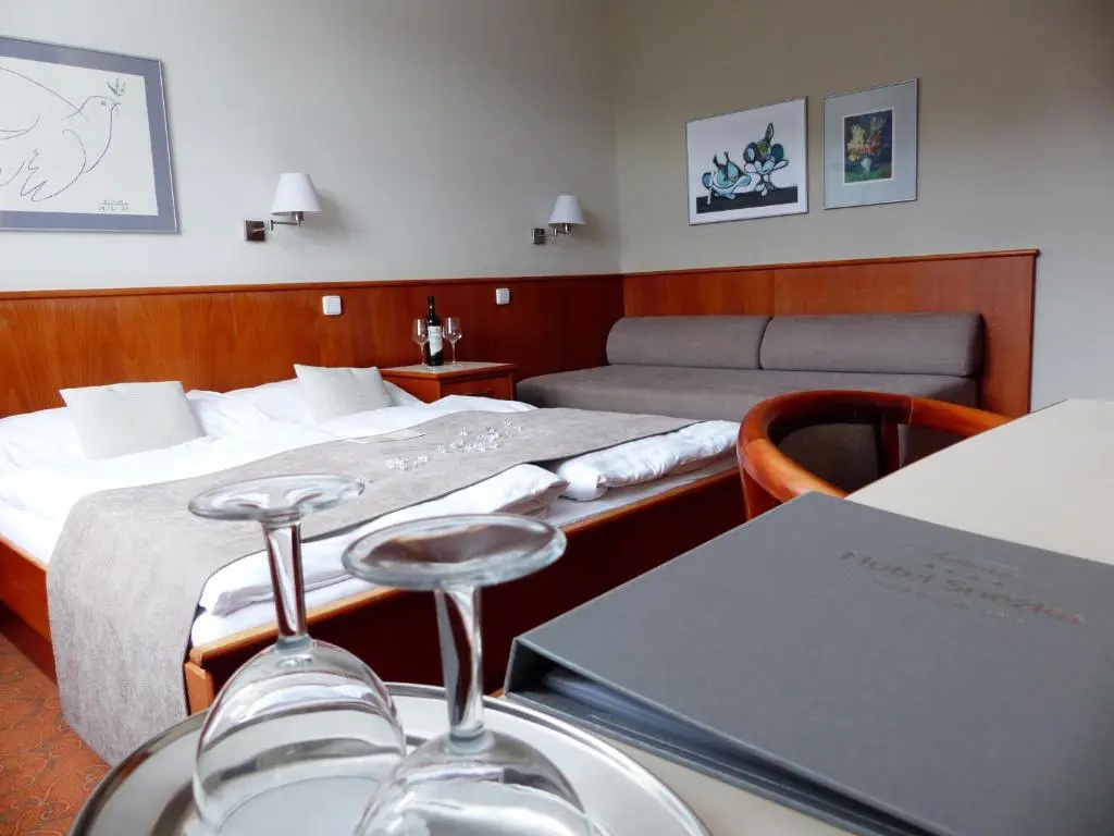 Hotel Sněžka - Chambres