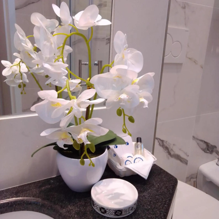 Hotel photo 41