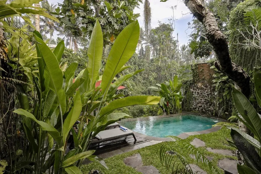 1 Bedroom Villa