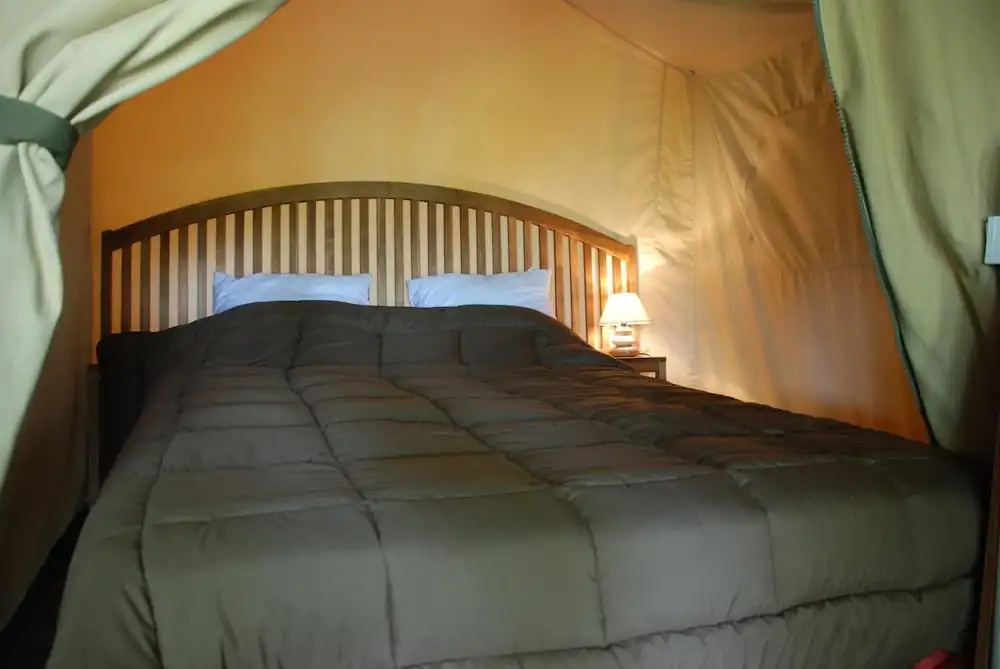 Voir la photo 4 — Camping les Tournesols