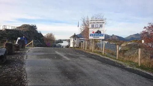 Lofoten Markveien Villa