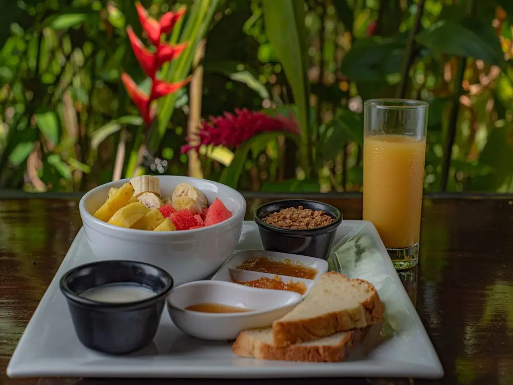 Maquenque Eco Lodge - фото 13