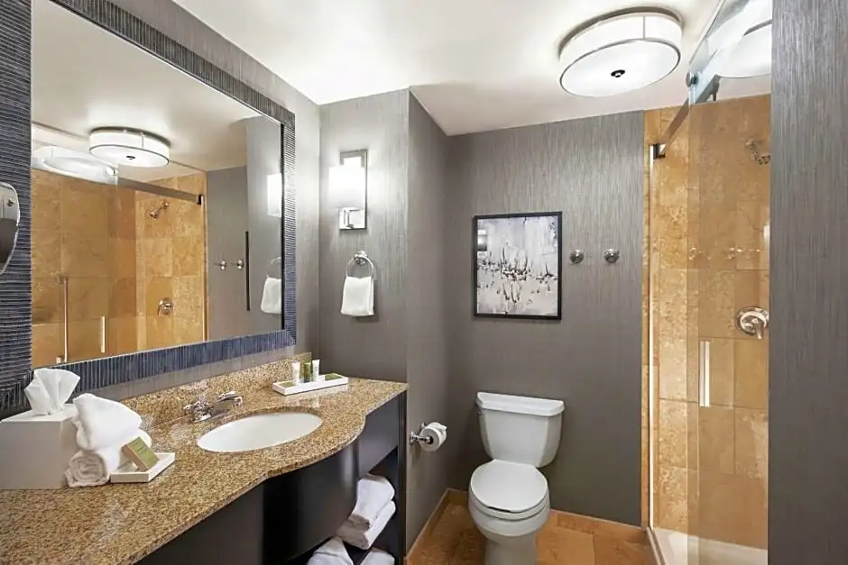 Hilton Columbia Center - Chambres
