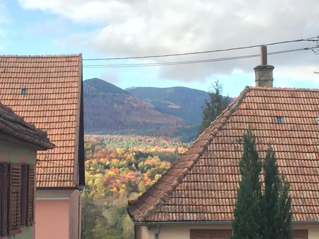 L'estaminet De La Vallée