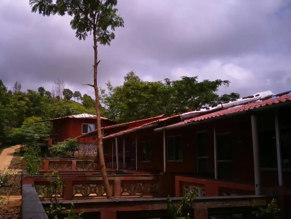 Wild Camp Resort - фото 10