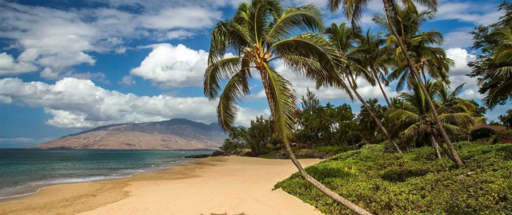 Maui Coast Hotel - Général
