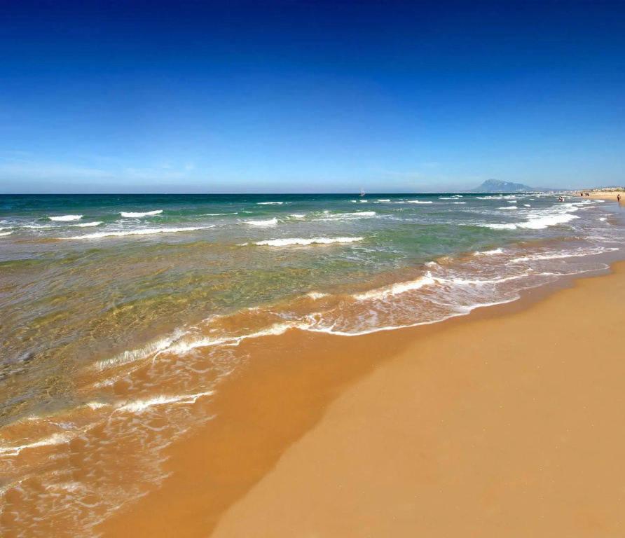 Oliva Nova Beach & Golf Hotel - Général