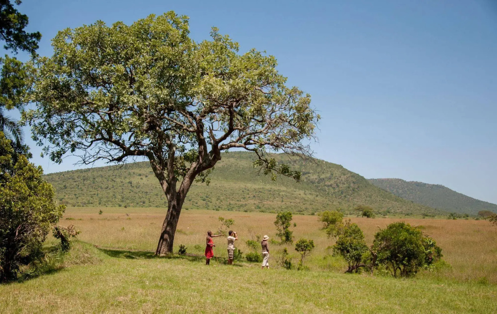 Enkewa Bush Camp