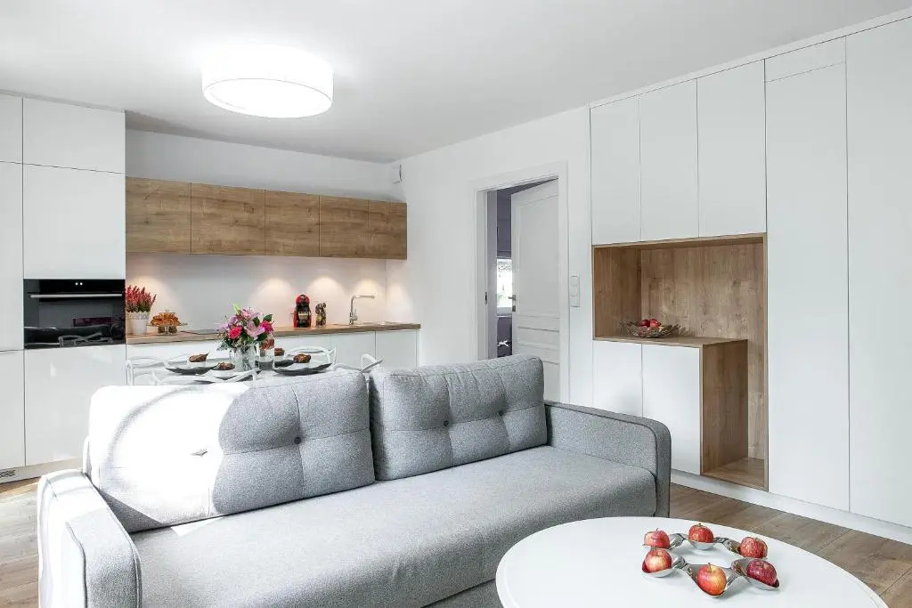 1 Bedroom Deluxe Basement Apartment