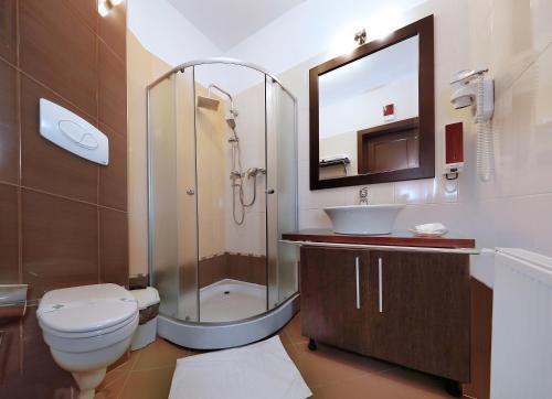 Отель AselTur Brasov, фото 9