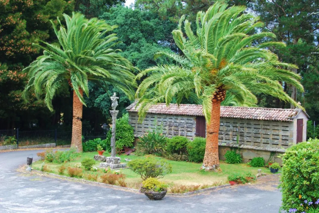Hotel Pazo O Rial - Général