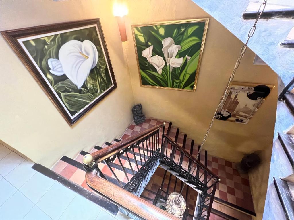 Hotel La Ventana by null