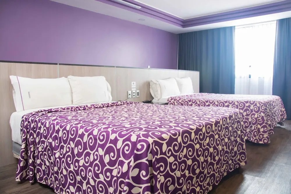 Standard Double room (twin beds)