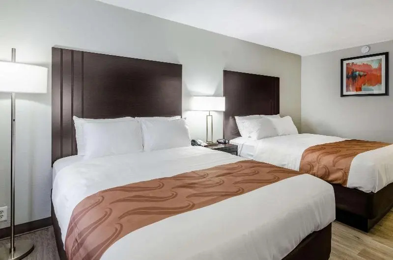 Quadruple Suite