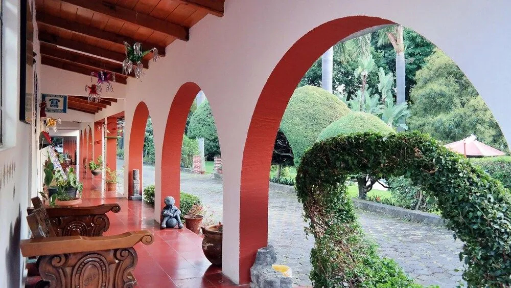 Hotel Los Cedros - фото 14