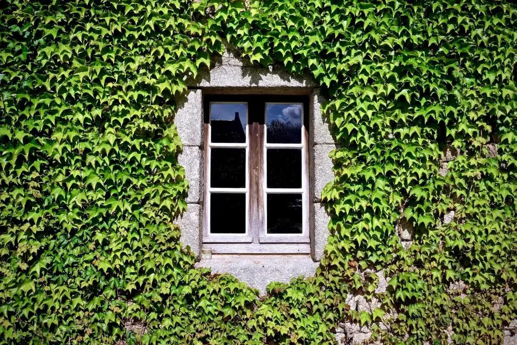 Manoir de l'Isle - Chambres