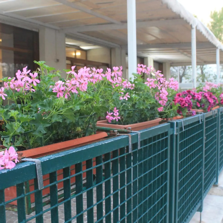 Hotel photo 24