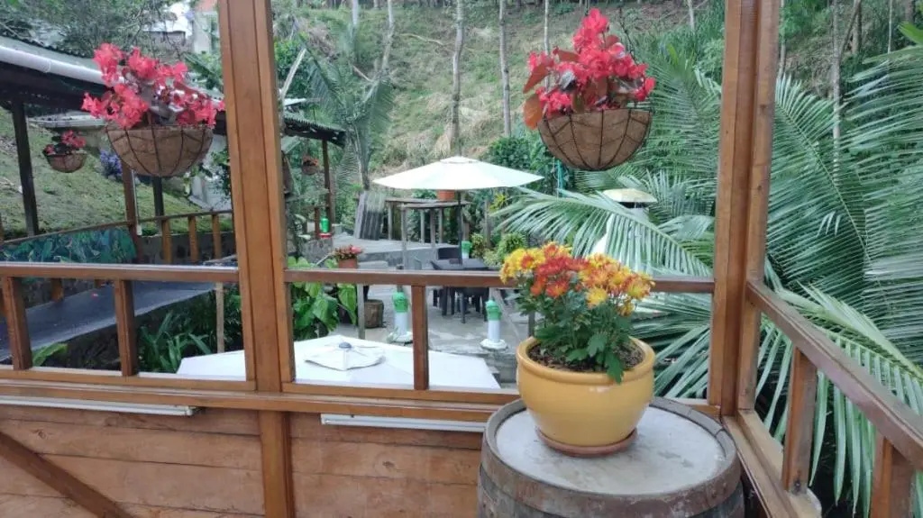 Balcony & Terrace