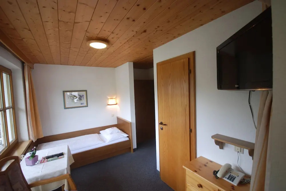 Standard Single room with balcony and with mountain view