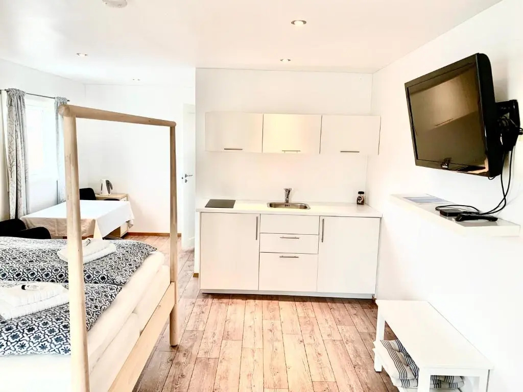Standard Double room (full double bed)