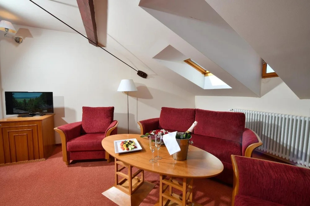 LH Hotel Dvorak Tabor - Général